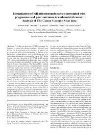Deregulation of Cell Adhesion Molecules Is Associated with Progression and Poor Outcomes in Endometrial Cancer: Analysis of the Cancer Genome Atlas Data