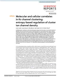 Entropy-Based Regulation of Cluster Ion Channel Density