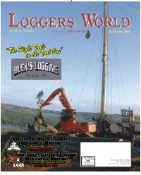 Lt Master File