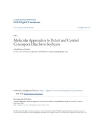 Molecular Approaches to Detect and Control Cercospora Kikuchii In