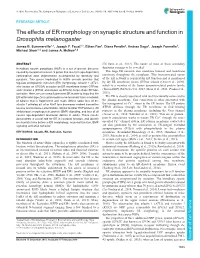 The Effects of ER Morphology on Synaptic Structure and Function in Drosophila Melanogaster James B