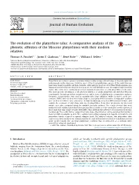 The Evolution of the Platyrrhine Talus: a Comparative Analysis of the Phenetic Afﬁnities of the Miocene Platyrrhines with Their Modern Relatives