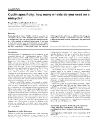 Cyclin Specificity: How Many Wheels Do You Need on a Unicycle?