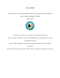 Final Report