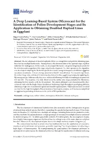 (Microscan) for the Identification of Pollen Development Stages and Its