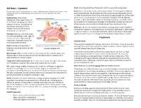 Epistaxis Treatment Using Injectable Form Recommended for Pts with Recurrent Bleeds, Bilateral Packing, Or Other Concerns
