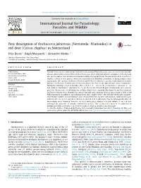 First Description of Onchocerca Jakutensis (Nematoda: Filarioidea) in Red Deer (Cervus Elaphus) in Switzerland