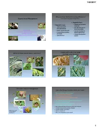 Insect Management It All Started Long Before We Got Here…