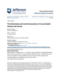 The Inflammatory and Normal Transcriptome of Mouse Bladder Detrusor and Mucosa