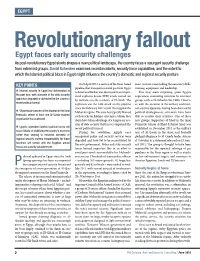 Revolutionary Fallout