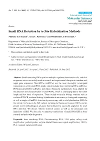 Small RNA Detection by in Situ Hybridization Methods