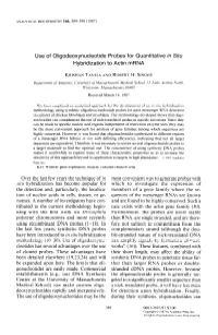 Use of Oligodeoxynucleotide Probes for Quantitative in Situ Hybridization to Actin Mrna