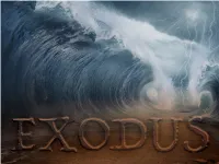 10 So Moses and Aaron Went to Pharaoh and Did Just As the Lord Commanded
