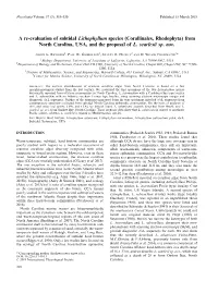 A Re-Evaluation of Subtidal Lithophyllum Species (Corallinales, Rhodophyta) from North Carolina, USA, and the Proposal of L