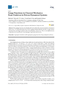 Gauge Functions in Classical Mechanics: from Undriven to Driven Dynamical Systems