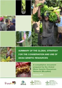 Summary of the Global Strategy for the Conservation and Use of Musa Genetic Resources