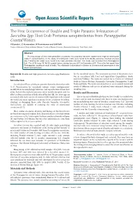 The First Occurrence of Double and Triple Parasitic Infestation of Sacculina Spp