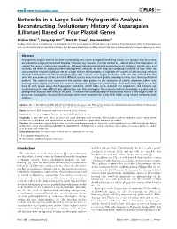 Networks in a Large-Scale Phylogenetic Analysis: Reconstructing Evolutionary History of Asparagales (Lilianae) Based on Four Plastid Genes