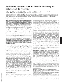 Solid-State Synthesis and Mechanical Unfolding of Polymers of T4 Lysozyme