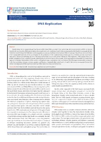 DNA Replication