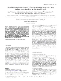 Identification of Hsc70 As an Influenza Virus Matrix Protein (M1)