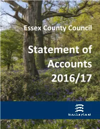 Statement of Accounts 2016/17