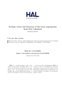 Ecology, Forms and Functions of the Basal Angiosperms from New Caledonia Santiago Trueba