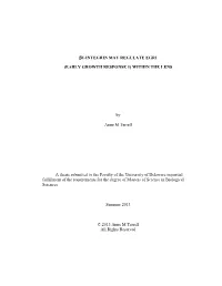 First Line of Title