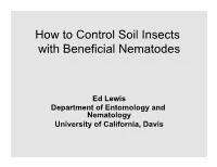 How to Control Soil Insects with Beneficial Nematodes