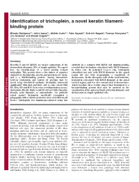Identification of Trichoplein, a Novel Keratin Filament- Binding Protein