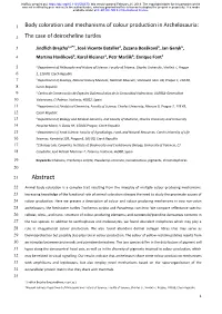 The Case of Deirocheline Turtles