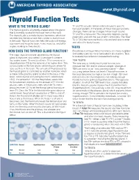 Thyroid Function Tests WHAT IS the THYROID GLAND? T4 and T3 Circulate Almost Entirely Bound to Specific Transport Proteins