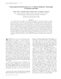 Transcriptional Interferences in Cis Natural Antisense Transcripts of Humans and Mice