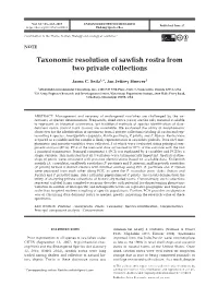 Taxonomic Resolution of Sawfish Rostra from Two Private Collections
