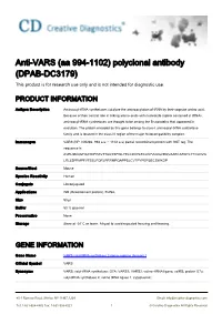 Anti-VARS (Aa 994-1102) Polyclonal Antibody (DPAB-DC3179) This Product Is for Research Use Only and Is Not Intended for Diagnostic Use