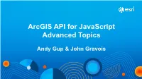 Arcgis API for Javascript Advanced Topics