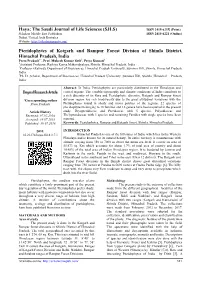 (SJLS) Pteridophytes of Kotgarh And