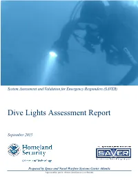 Dive Lights Assessment Report