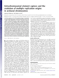 Extrachromosomal Element Capture and the Evolution of Multiple Replication Origins in Archaeal Chromosomes