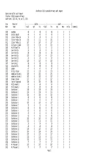 Audit Report