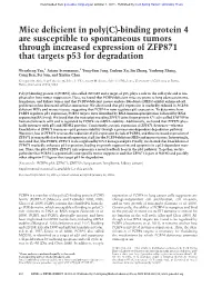 Mice Deficient in Poly(C)-Binding Protein 4 Are Susceptible to Spontaneous Tumors Through Increased Expression of ZFP871 That Targets P53 for Degradation