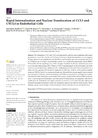Rapid Internalization and Nuclear Translocation of CCL5 and CXCL4 in Endothelial Cells