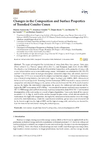 Changes in the Composition and Surface Properties of Torrefied