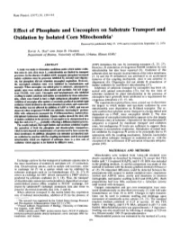 Effect of Phosphate and Uncouplers on Substrate Transport And