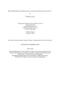 Molecular Mechanisms of Neuroprotection by an Alternative Drug Scutellaria Lateriflora by Madhukar Lohani a Dissertation Submitt
