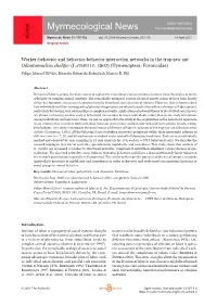 Worker-Behavior and Behavior-Behavior Interaction