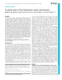 A Cellular Atlas of Pitx2-Dependent Cardiac Development Matthew C
