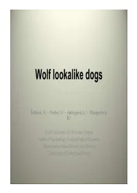 08 Sebkova.Pdf