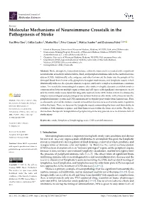 Molecular Mechanisms of Neuroimmune Crosstalk in the Pathogenesis of Stroke