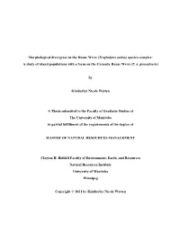 Morphological Divergence in the House Wren (Troglodytes Aedon) Species Complex: a Study of Island Populations with a Focus on the Grenada House Wren (T